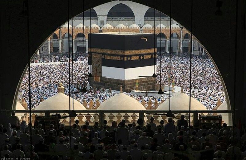 Al Nosour Al Mohajreen Hotel - 5 Nights in Makkah * Emaar Taibah Madinah - 5 Nights in Madinah...